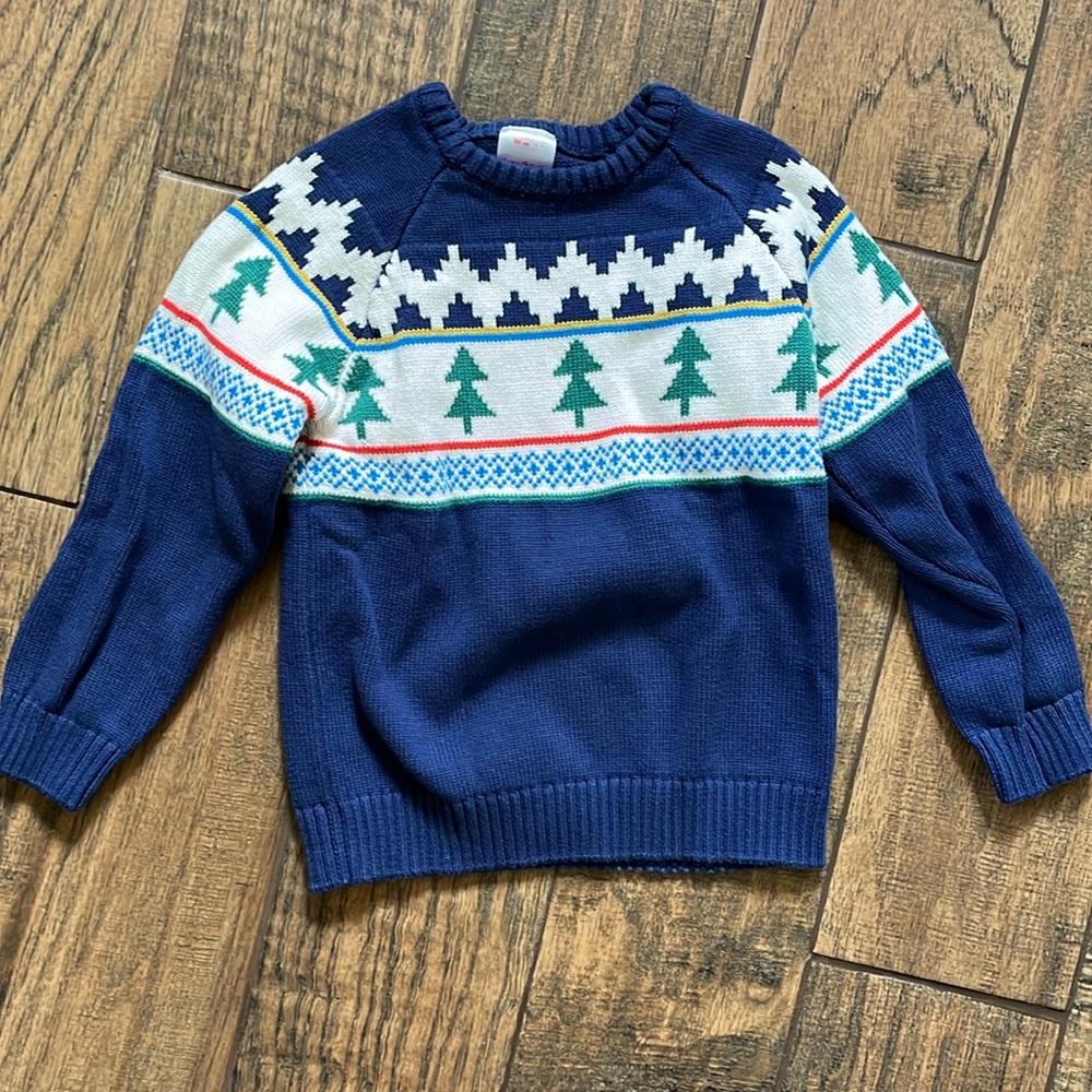 EUC Hanna Andersson sweater